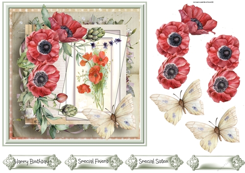 Red Poppies 7x7