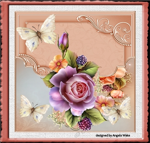 English rose and butterfly 7x7