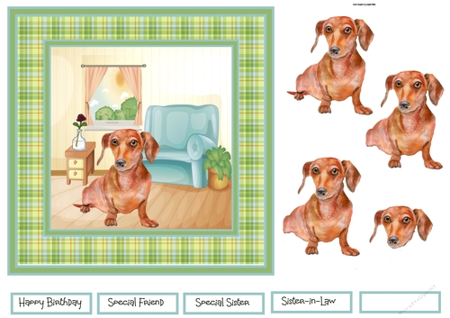 Cute Dachshund dog 7x7