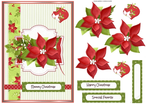 Red poinsettia A5