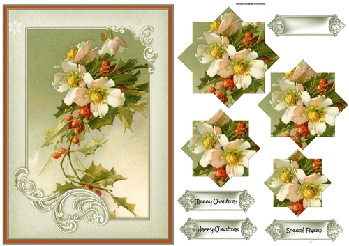 Christmas flowers A5