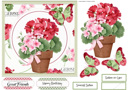 Geraniums and butterfly 7x7