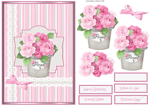 Pot of roses A5