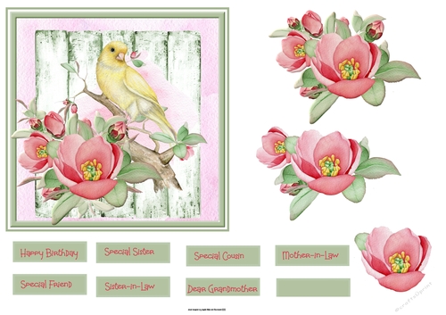 Wild rose and bird 6x6