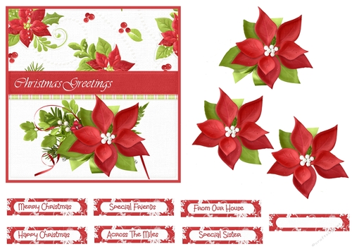 Poinsettia and holly 6x6