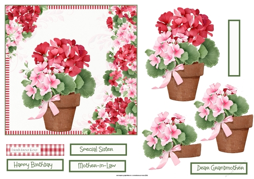 Pink Geraniums 6x6 card