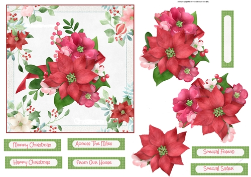 Christmas festive flowers 6x6