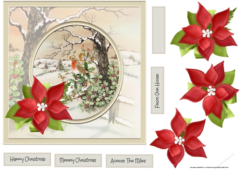 Poinsettia and robin 7x7