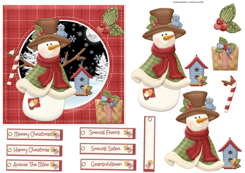 Snowman and bird friend 6x6