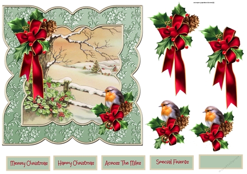 Robin and holly shaped card