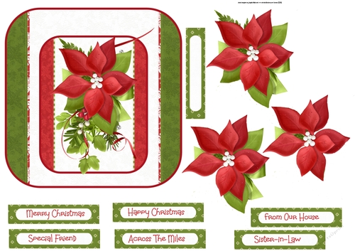 Poinsettia and holly 6x6