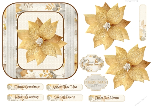 Gold poinsettia 6x6