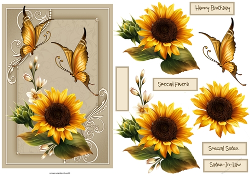 Sunflower and butterfly A5