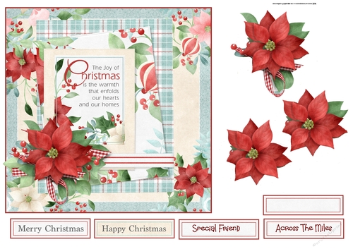 Red poinsettia and berry 7x7