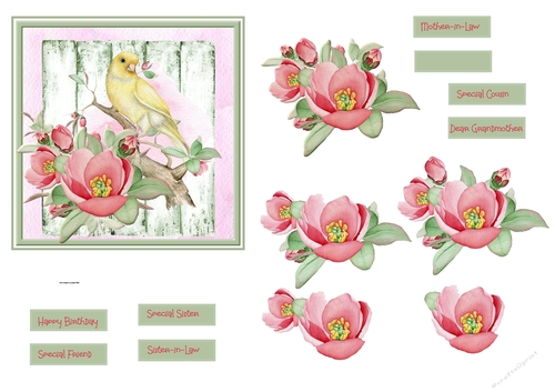 Yellow bird and wild rose 5x5