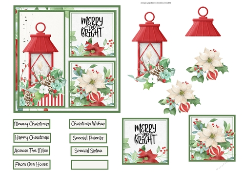 Lamp and white poinsettia 5x5