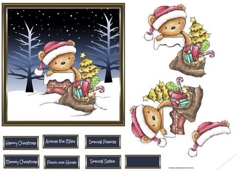 Christmas Ted delivery 6x6