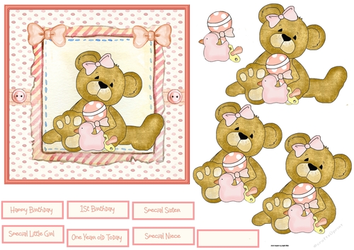 Baby girl bear first birthday 6x6