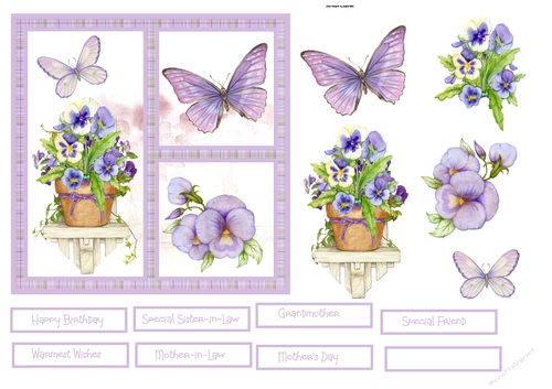Pansy garden 6x6