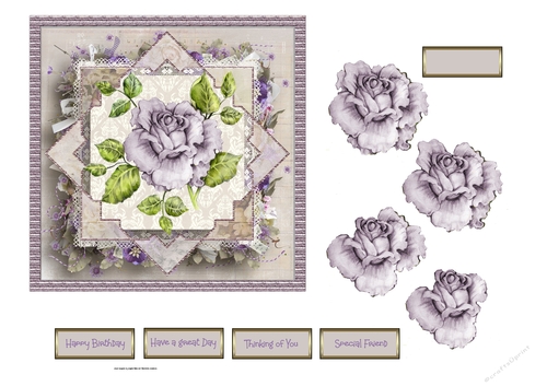 Lilac rose 6x6