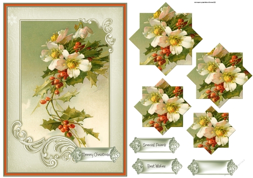 Holly and Christmas rose A5