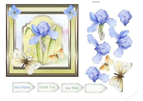 Blue Iris and butterfly 6x6 