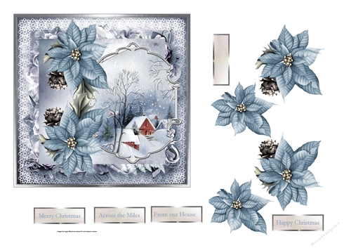 Blue poinsettia 6x6