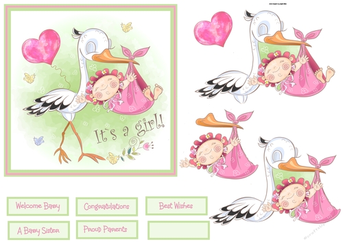 Girl stork delivery 6x6