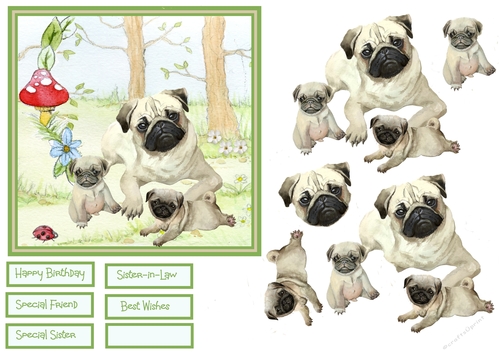 The Pug family 6x6