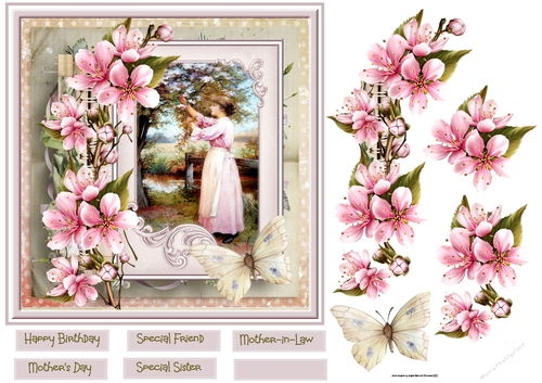 Picking blossom from the tree 7x7