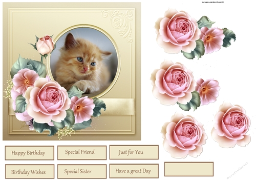 Kitten and rose 6x6