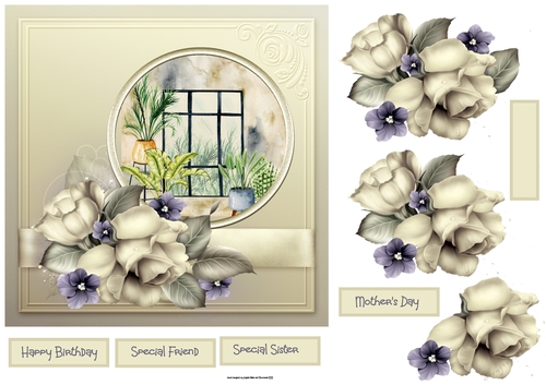Flowers and room view 7x7