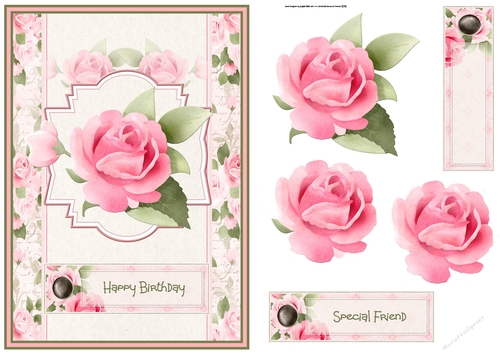 A Pink rose A5