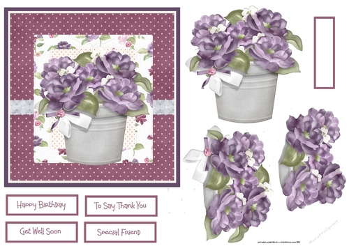 Purple flowers in a pot 6x6