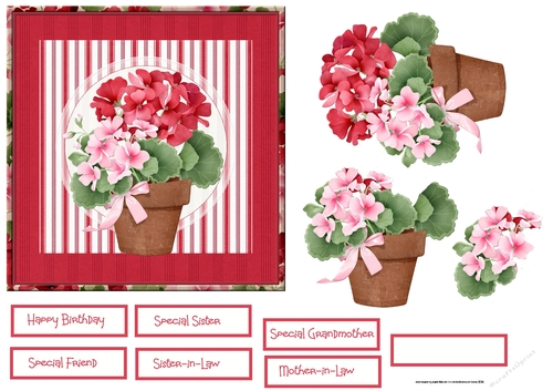 Potted Geraniums 6x6