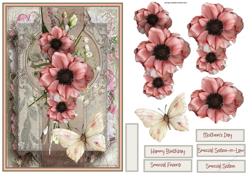 Anemone and butterfly A5