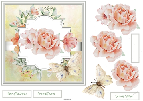 Peach rose and butterfly 7x7
