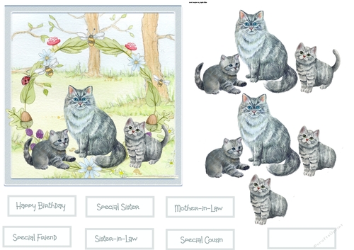Cat family 6x6
