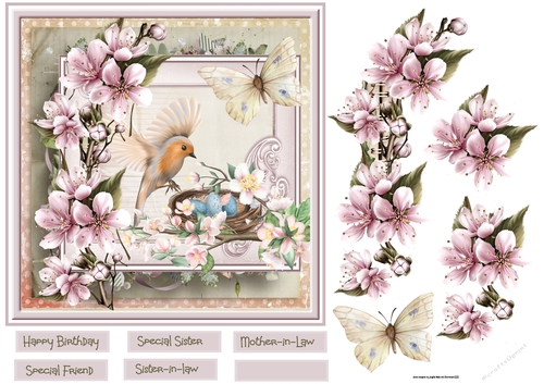Flowers birds and butterfly 7x7