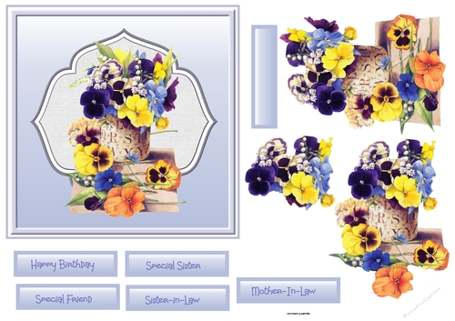 pot of pansy 6x6