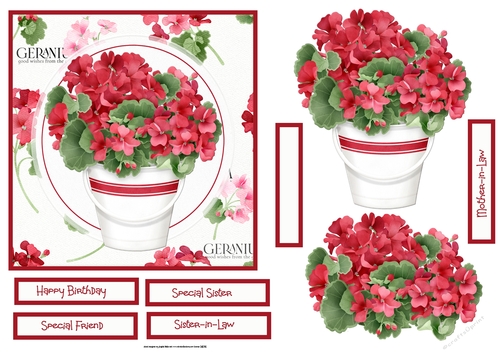 Red Geranium 6x6