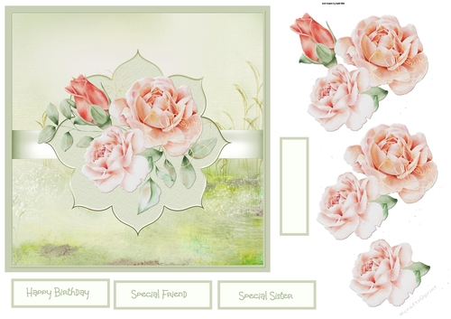 Rose blooms 7x7