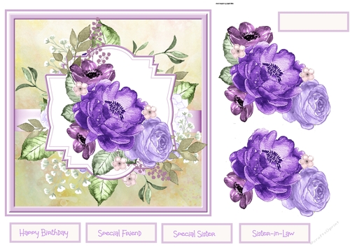 Purple rose 7x7