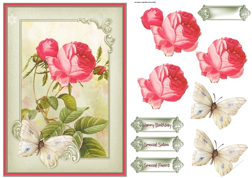 Pink rose and butterfly A5