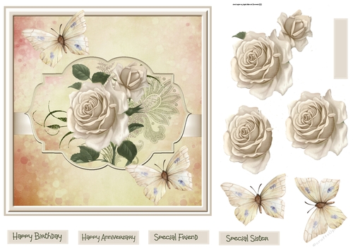 Anniversary rose 7x7