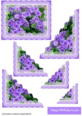 Abundance of Flowers