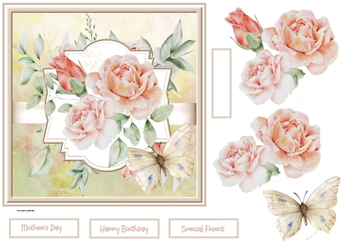 Mothers day rose 7x7