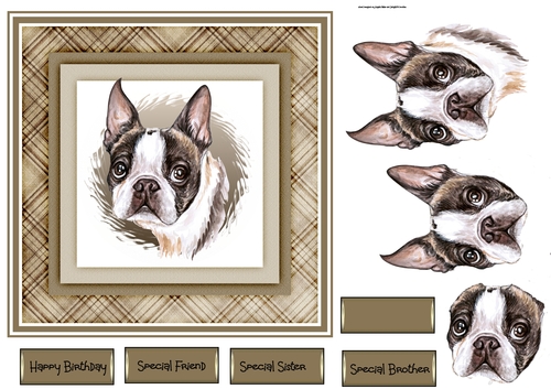 French bull dog 7x7 