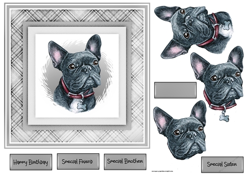 A Frenchie 7x7 card