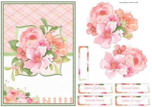 rose cluster A5